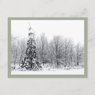 Postal separación con certeza