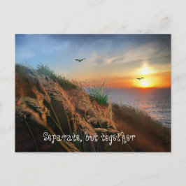 Postal Separados, pero juntos (considérese 19 estímulos)