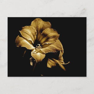 POSTAL SEPIA AMARYLLIS CON ANTECEDENTES NEGROS