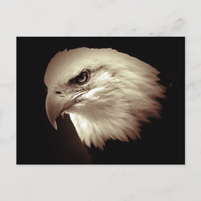 Postal Sepia Color Bald Eagle (Anverso)