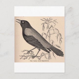 Postal Sepia Crow
