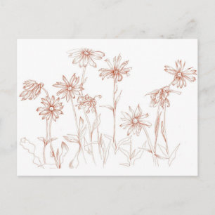 Postal Sepia Daisies Plano de plumas y flor de tinta