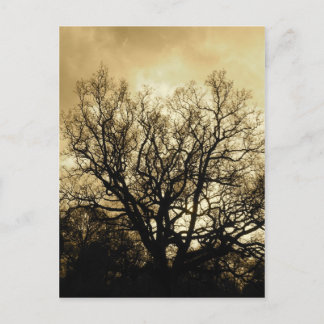 Postal sepia de árbol y cielo