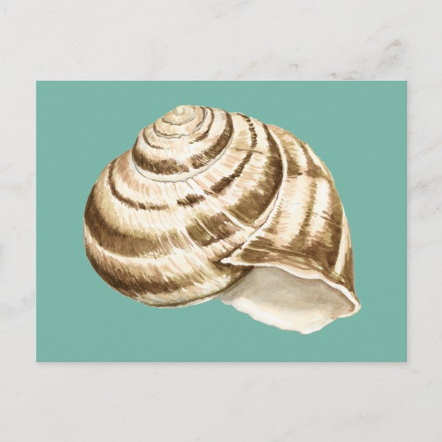 Postal Sepia Strike Shell en Verde azulado (Anverso)