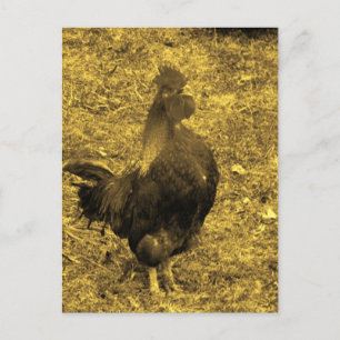 Postal Sepia Tone Crowing Rooster