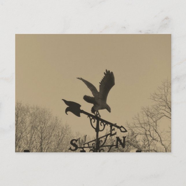 Postal Sepia Tone Eagle Weather vane (Anverso)