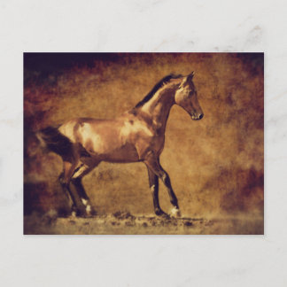 Postal Sepia Toned Rustic Horse Art