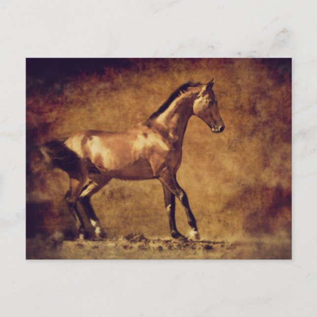 Postal Sepia Toned Rustic Horse Art (Anverso)