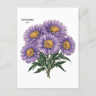 Postal Septiembre Aster Nacimiento Mes Personalizado Arte