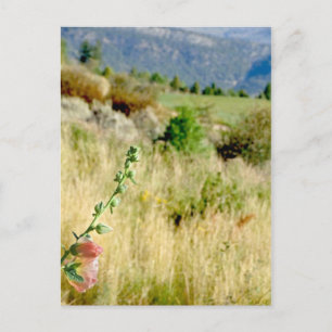 Postal Septiembre de Colorado