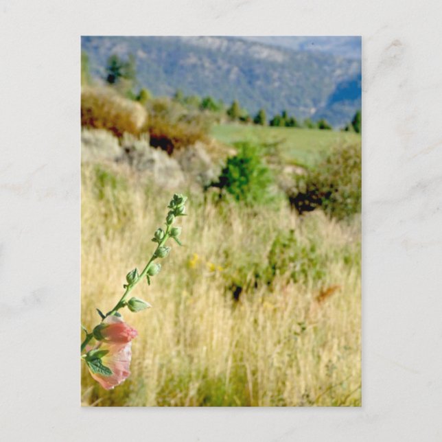 Postal Septiembre de Colorado (Anverso)