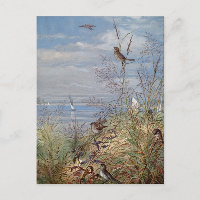 Postal Septiembre | Fidelia Bridges (Anverso)