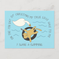 Séptimo Día 7 Navidades De Natación En Cisne