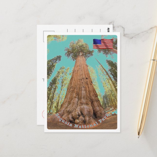 Postal Sequoia - Árbol General Sherman - Estados Unidos - (Anverso/Reverso In Situ)