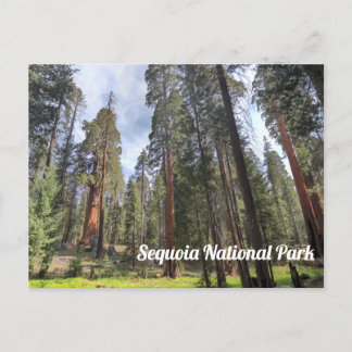 Postal Sequoia Grove, Parque Nacional Sequoia