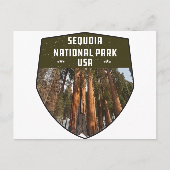 Postal Sequoia National Park California secuoya árboles (Anverso)