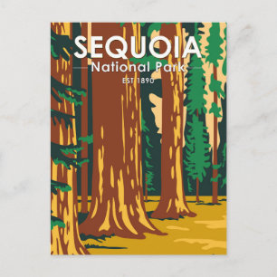 Postal Sequoia National Park Giant Sequoia Trees Vintage