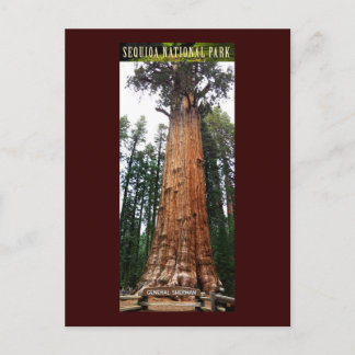 Postal SEQUOIA NAT'L PARK-California-General Sherman