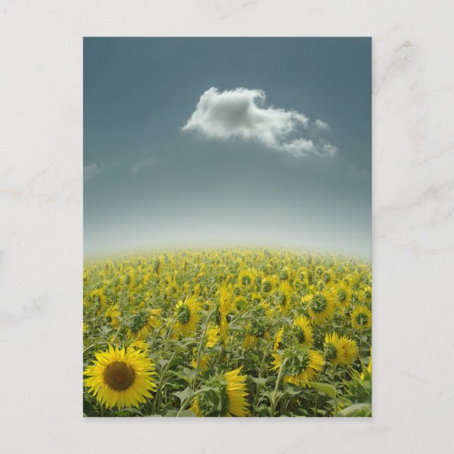 Postal Ser único (Anverso)