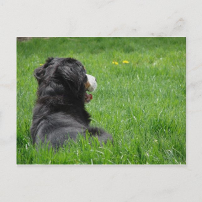 Postal Serena al sol (Anverso)