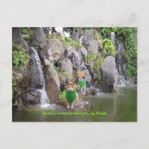 Postal Serene Bubba