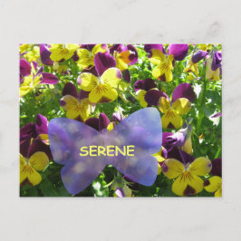 Postal Serene Pansy Postcard