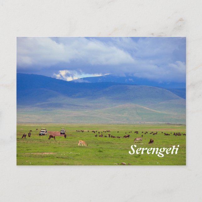 Postal Serengeti (Anverso)