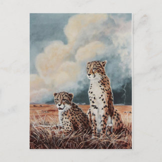 Postal Serengeti golpea