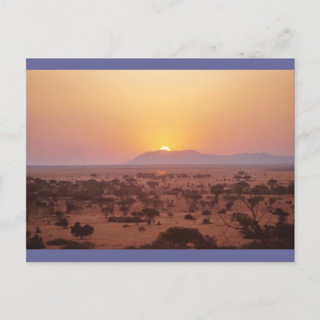 Postal Serengeti Sunset (Anverso)