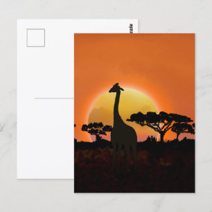 Postal Serengeti Sunset Giraffe   Vida salvaje Safari