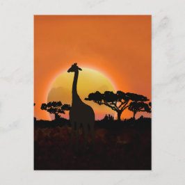 Postal Serengeti Sunset Giraffe | Vida salvaje Safari
