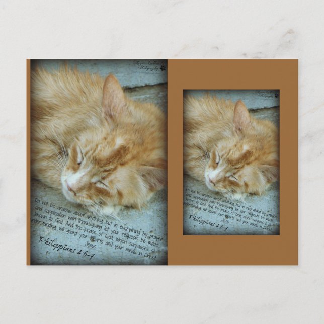 Postal Serenidad (Anverso)