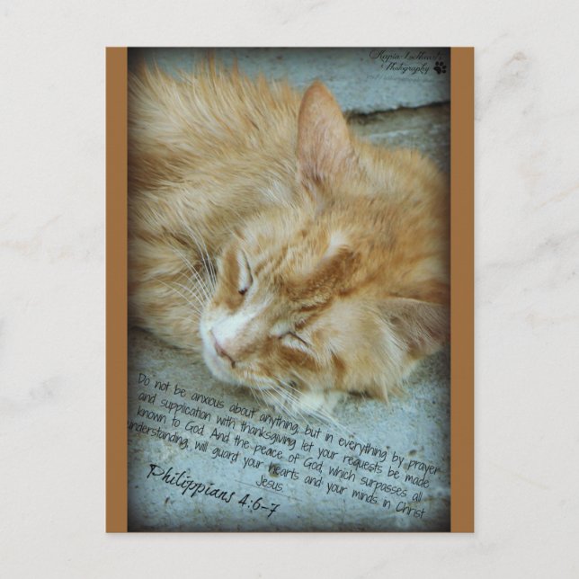 Postal Serenidad (Anverso)