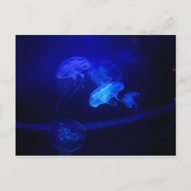 Postal Serenidad (Anverso)