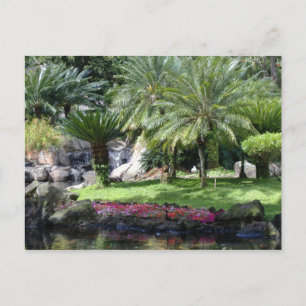 Postal Serenidad en Kauai