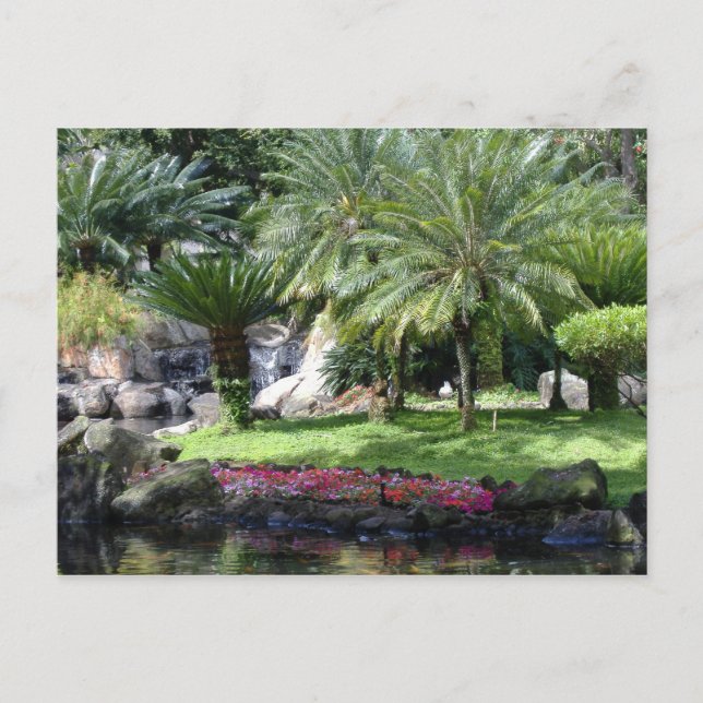 Postal Serenidad en Kauai (Anverso)