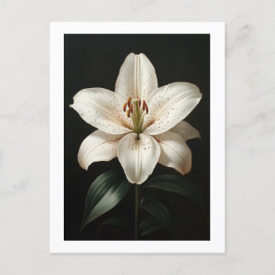 Postal Serenidad Lirio Blanco - Elegante Tributo Floral