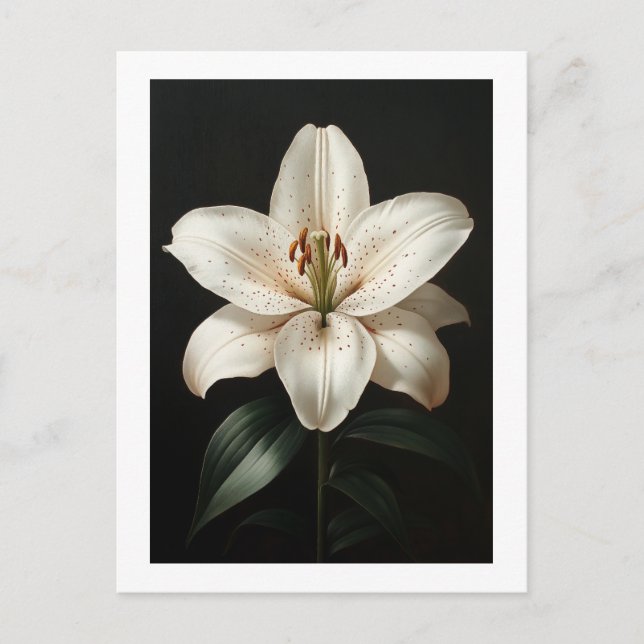 Postal Serenidad White Lily - Tributo Floral Elegante (Anverso)