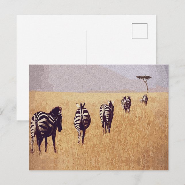 Postal Sereno Safari – Cebras en las praderas doradas (Anverso / Reverso)