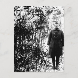 Postal Sergt. Alvin C. York, 328a imagen de Infantry_War
