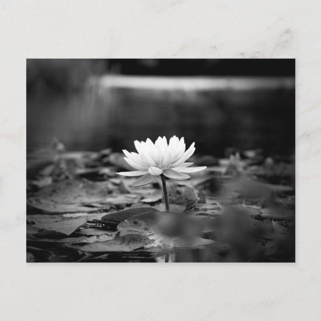 Postal Serie 0851 (Anverso)