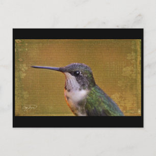 Postal Serie Angel Wing