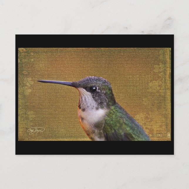 Postal Serie Angel Wing (Anverso)
