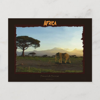 Postal Serie de elefantes africanos