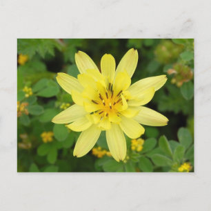 Postal Serie de flores 2007