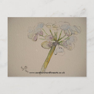 Postal Serie de Jigsaw - Cow parsley 2010