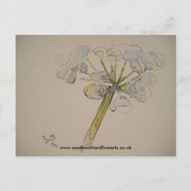 Postal Serie de Jigsaw - Cow parsley 2010 (Anverso)
