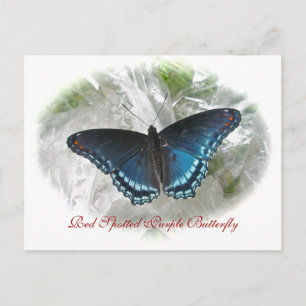 Postal Serie de mariposa púrpura de puntos rojos