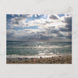 Postal Serie de Miami