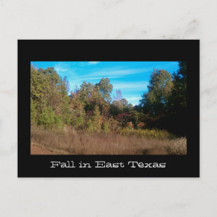 Postal Serie de Texas